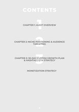 Load image into Gallery viewer, 1:1 Mentorship: TikTok Social Media Audit + 30-Day Growth Plan