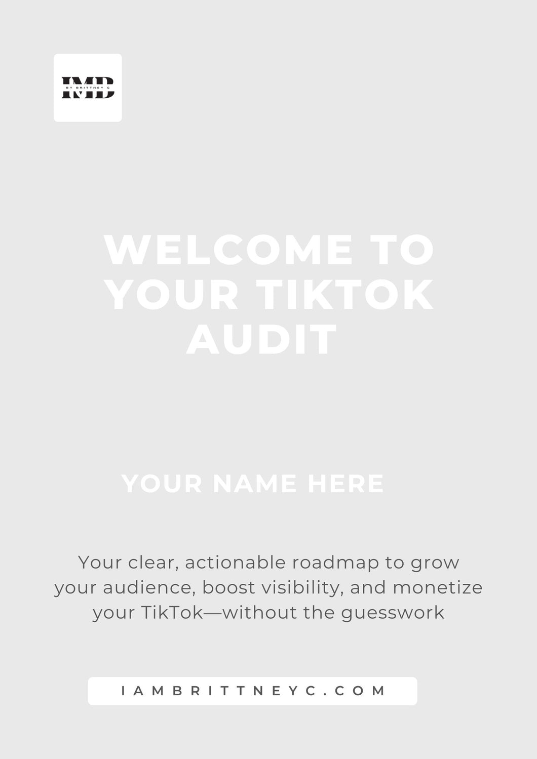 TikTok Social Media Audit