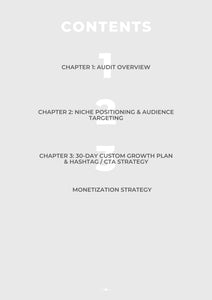 1:1 Mentorship: TikTok Social Media Audit + 30-Day Growth Plan